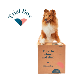 Natural Dog Food Trial Box