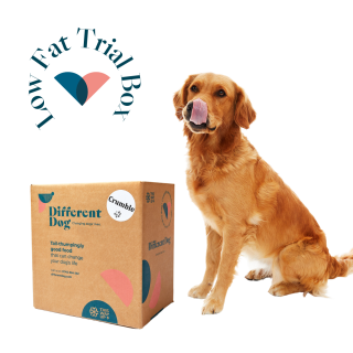 low fat dog food - healthy - different dog