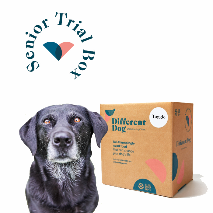 Senior Dog Food Trial Box