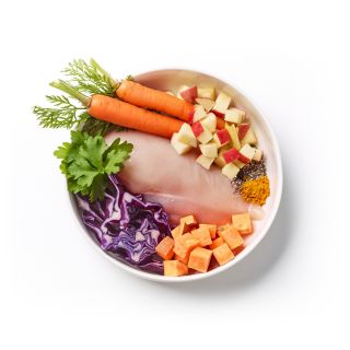 Different Dog - Chicken Casserole - Healthy dog food