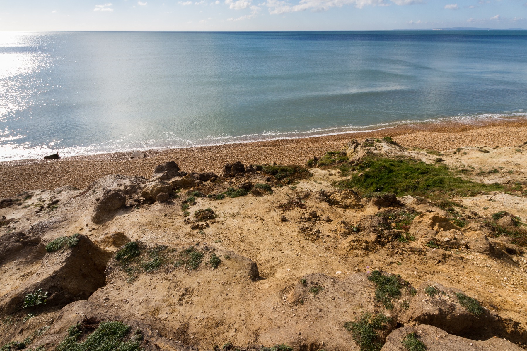 what beaches can dogs go on in kent